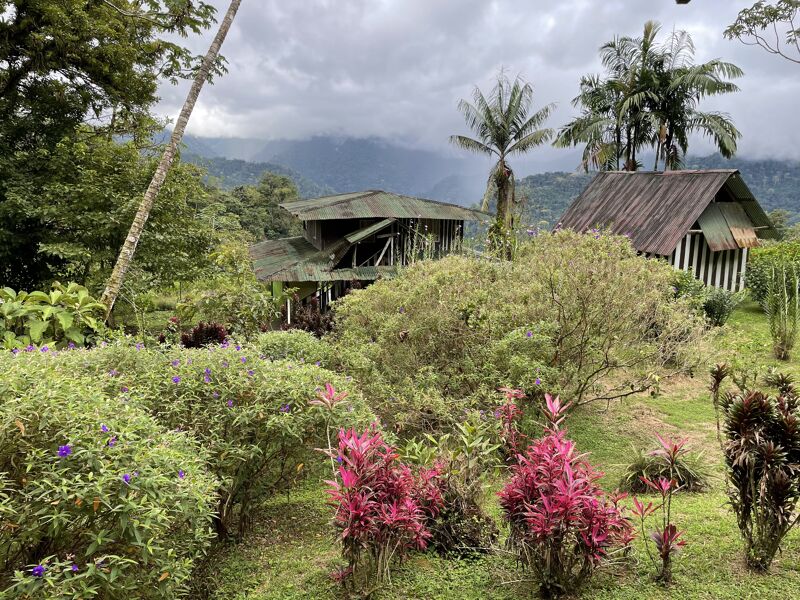 The image shows a lush, green landscape with a variety of plants and trees. In the background, there are buildings with rustic architecture, and mountains can be seen under a cloudy sky. The scene evokes a sense of tranquility and natural beauty.
